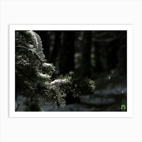 Snowy Forest 20201004 172ppub Art Print