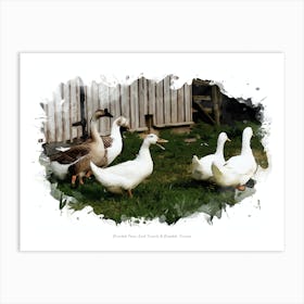 Riverdale Farm, East Toronto & Rosedale, Toronto Art Print