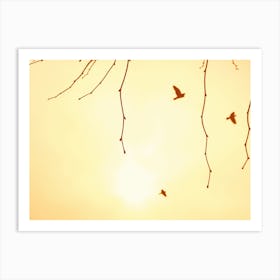 Flying Bird Silhouettes in a Hazy Summer Sky Art Print