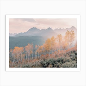 Colorado Aspen Mountains Art Print