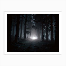 Dark Forest At Night Art Print