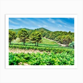 Vineyards in Alpilles Provence France. The image shows a lush, green landscape featuring rows of vineyards and scattered trees under a bright blue sky with wispy clouds. In the background, gently rolling hills covered in dense, green foliage stretch across the horizon, creating a peaceful, rural scene that likely resembles a Mediterranean or Southern European countryside, perfect for cultivating grapes and other crops. The mix of natural greenery and organized agriculture suggests a well-maintained, serene environment. Art Print