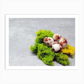 Small Eggs On Moss Art Print