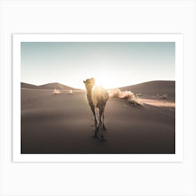 Landscapes Raw 20 Camel (Morocco) Art Print