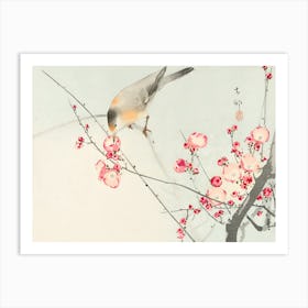 Chinese Bird 1 Art Print