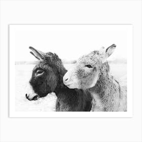 Donkey Love Art Print