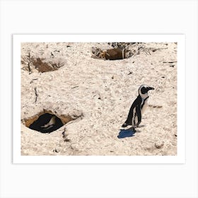 Penguins On The Beach (Africa Series) 3 Art Print