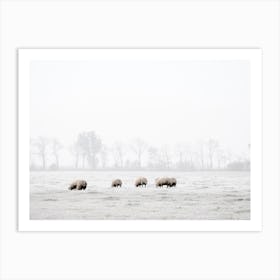 Foggy Winter Morning Sheep Art Print