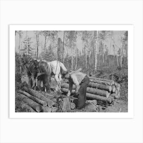 Untitled Photo, Possibly Related To Piling Timber At Camp Near Effie, Minnesota By Russell Lee Art Print