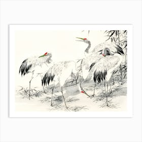 Japanese Crane 2 Art Print