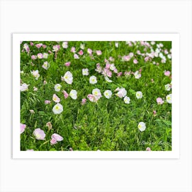 Pink Wildflowers - photography 1 Art Print