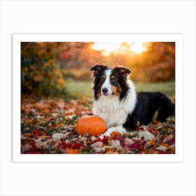 Autumnal Backdrop Transitioning Into Winter An American Border Collie Sits On A Bed Of Fallen Leave 2 1 Art Print