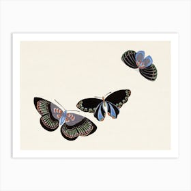 Japanese Butterfly, Cho Senshu (6) Art Print