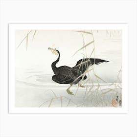 Japanese Cormorant Catching Fish (1900 1910), Ohara Koson Art Print