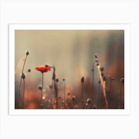 Nostalgic Nature No 9 Art Print