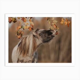 Autumn Horse Art Print