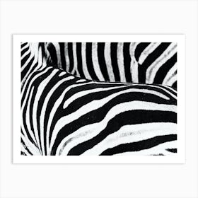 Zebras Art Print