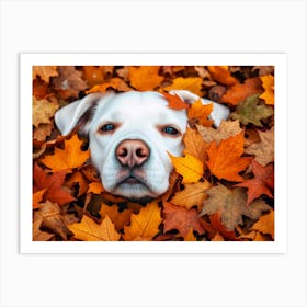 Autumn Dog Art Print