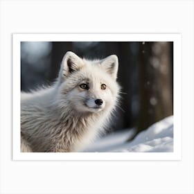 Arctic Fox 5 Art Print