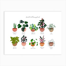 Easy House Plants Art Print