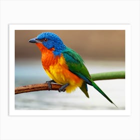 Colorful Bird 1 Art Print