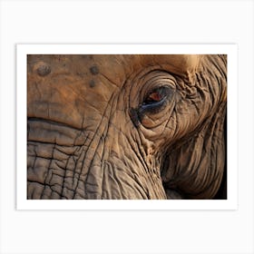 African Elephant Close Up Realism 4 Art Print