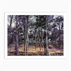 Forest Collage 4 Art Print