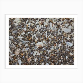 Tiny And Large Sea Shell And Rocks Texture Background 5 Art Print