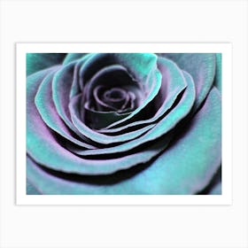 Close Up Of A Rose Art Print