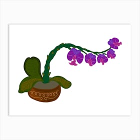 Orchid In A Pot Art Print