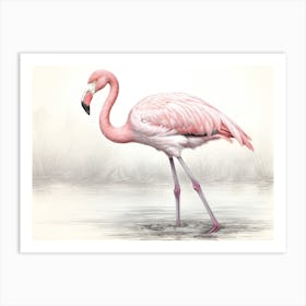 Flamingo 16 Art Print