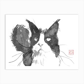 Cat Face Art Print