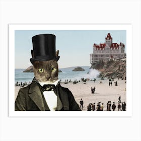 Mr Whiskers at Cliffhouse Art Print