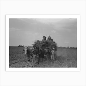 Untitled Photo, Possibly Related To Hay Loading Machine In Operation, Lake Dick Project, Arkansas By Russell Lee Art Print