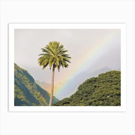 Sunrise Over Hawaii Forest Art Print