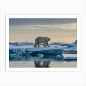 Polar Bear On Ice Floes Art Print