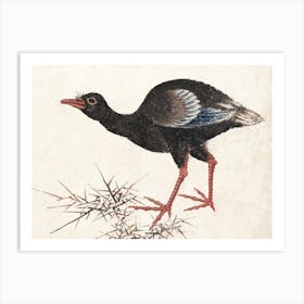 Katsushika Hokusai Bird In A Tree Art Print