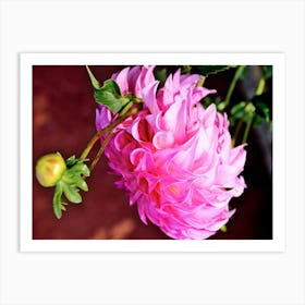 Pink Flower 1 Art Print