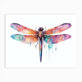 Watercolour Dragonfly 2 Art Print