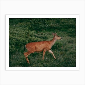 Mama Deer Art Print