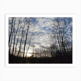 Sunset In The Woods Art Print