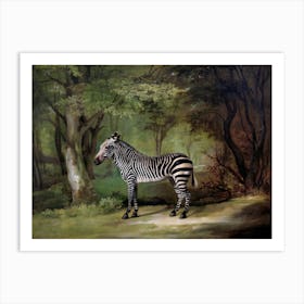 Zebra In The Woods, Dark Moody Vintage Art Art Print