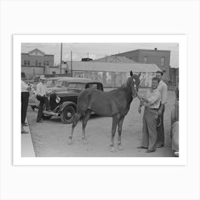 Untitled Photo, Possibly Related To Displaying A Horse For Sale On The Streets Of Alpine, Texas By Russell Lee Art Print