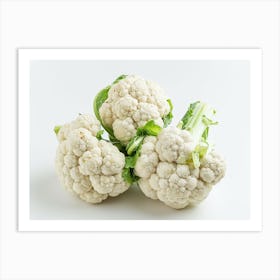 Cauliflower On White Background 6 Art Print