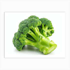 Broccoli 9 Art Print