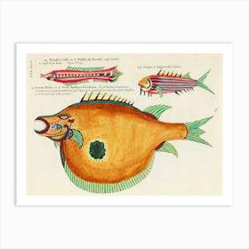 Colourful And Surreal Illustrations Of Fishes Found In Moluccas (Indonesia) And The East Indies, Louis Renard(80) Art Print