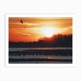 Sunrise Over A Lake Art Print