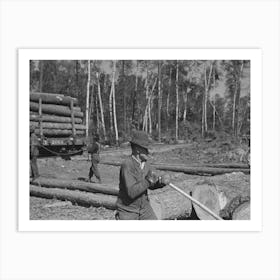 Untitled Photo, Possibly Related To Logs On Skidway Just Before Being Loaded On Railway Car, Near Effie, Minnesota By Art Print