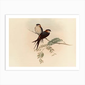 Two Swallows Perched On A Branch 3 Art Print