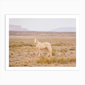 Palomino Wild Horse Art Print